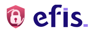 eFis VPN